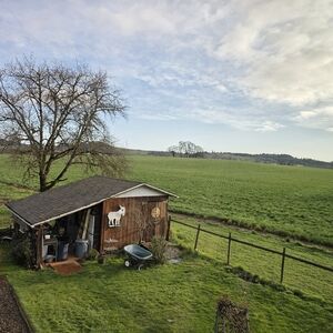 Meet your Posher, Melanie